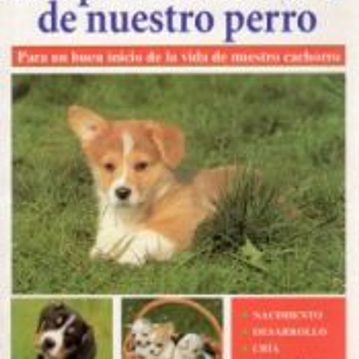 LOS PRIMEROS MESES DE NUESTRO PERRO 1