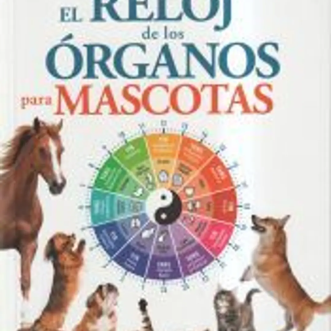 RELOJ DE LOS ORGANOS PARA MASCOTAS, EL 1