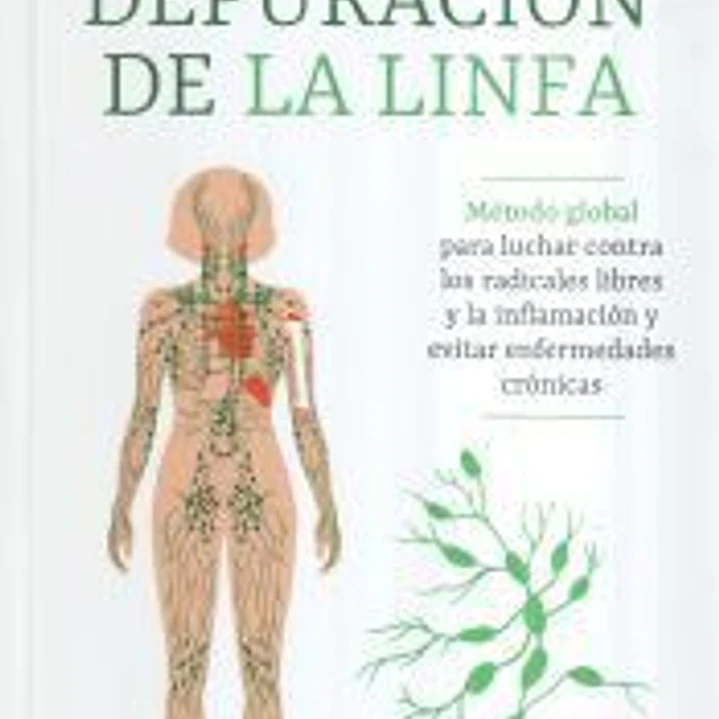 Depuración de la linfa 1