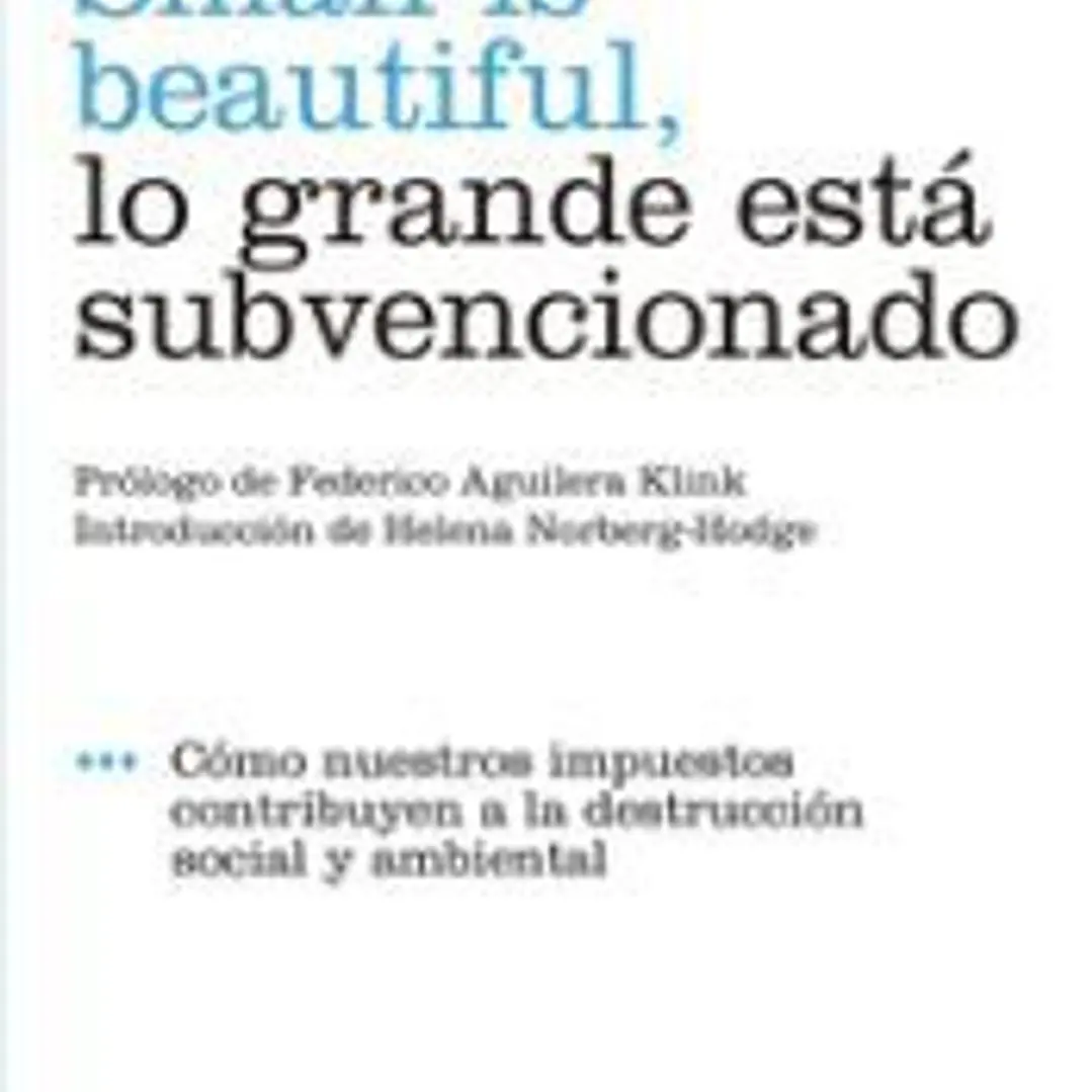 Small is beautiful, lo grande está subvencionado 1