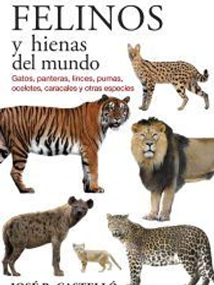 FELINOS Y HIENAS DEL MUNDO