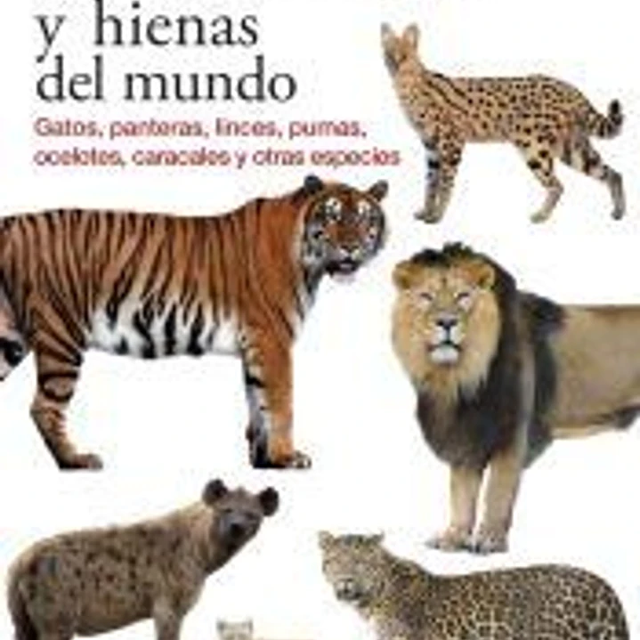 FELINOS Y HIENAS DEL MUNDO 1