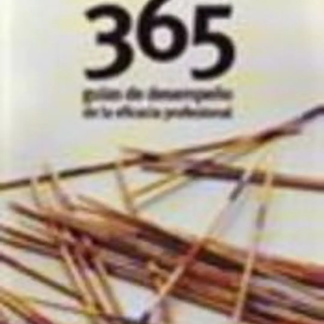 365 guías de desempeño de la eficacia profesional 1
