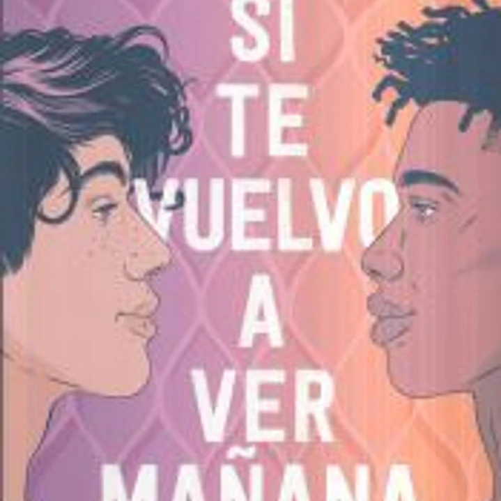 Si te vuelvo a ver mañana 1