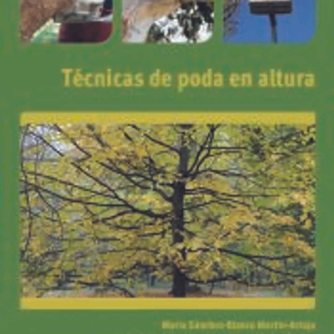 Técnicas de poda en altura. Certificados de profesionalidad. Aprovechamientos forestales 1