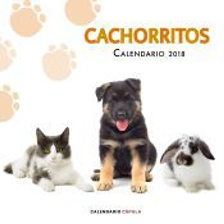CALENDARIO CACHORRITOS 2018 1