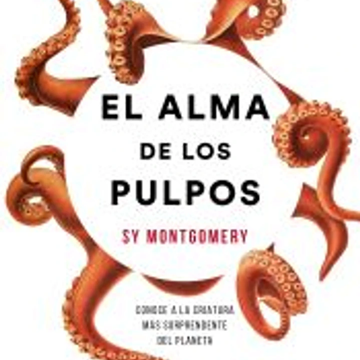 El alma de los pulpos: Conoce a la criatura más sorprendente del planeta 1