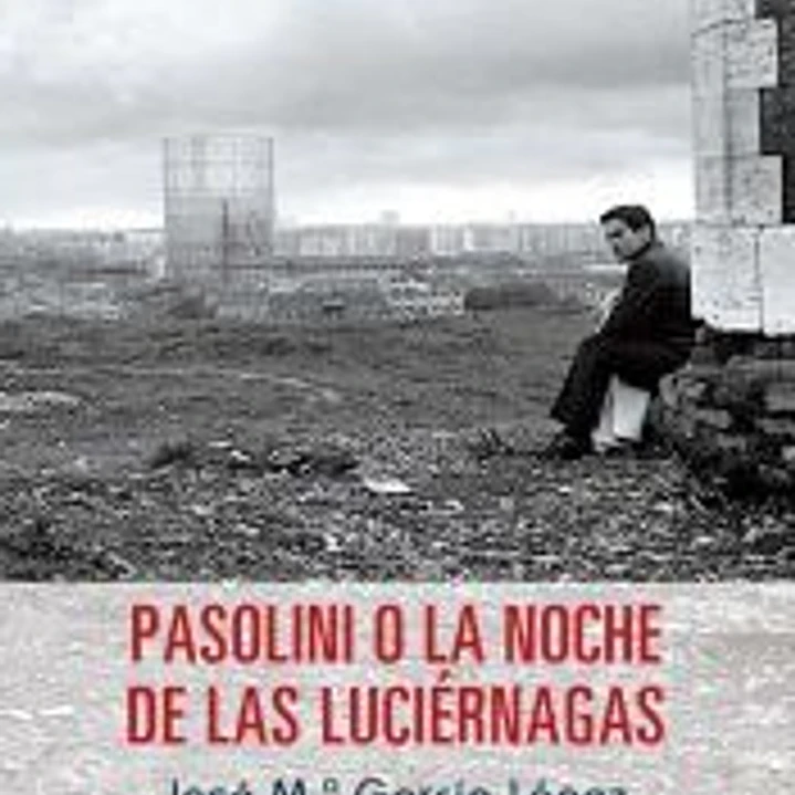 Pasolini o La noche de las luciérnagas 1