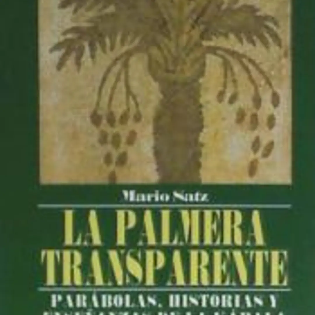 La palmera transparente 1