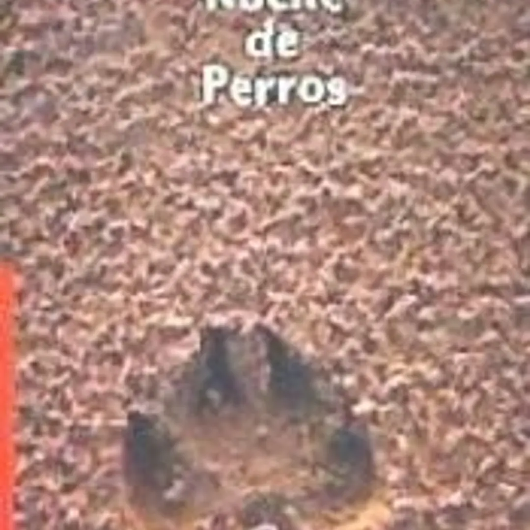 NOCHE DE PERROS 1