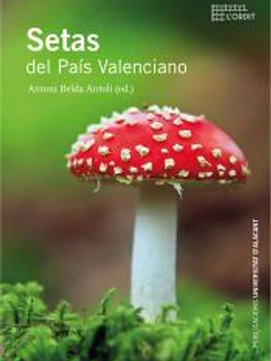 Setas del País Valenciano