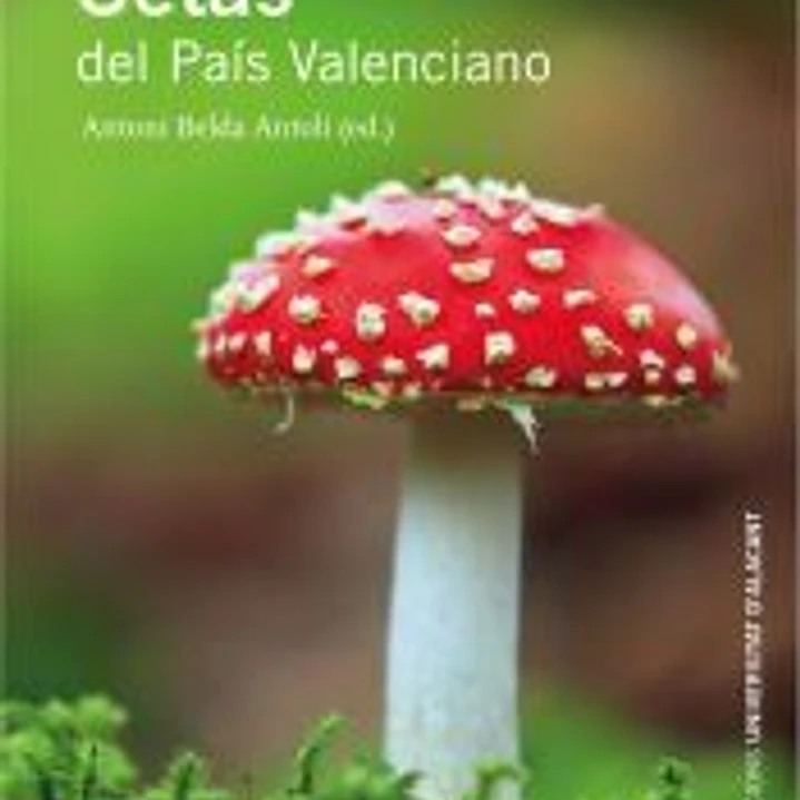 Setas del País Valenciano 1