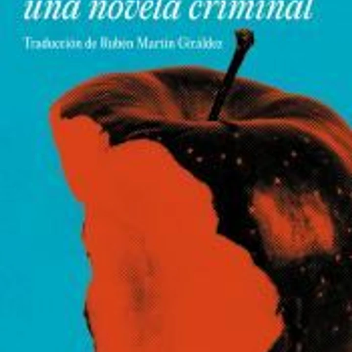 Brooklyn, una novela criminal 1