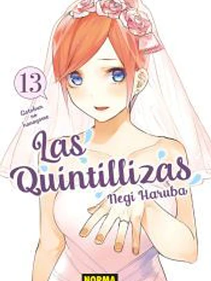 LAS QUINTILLIZAS 13