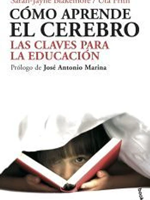 Cómo aprende el cerebro