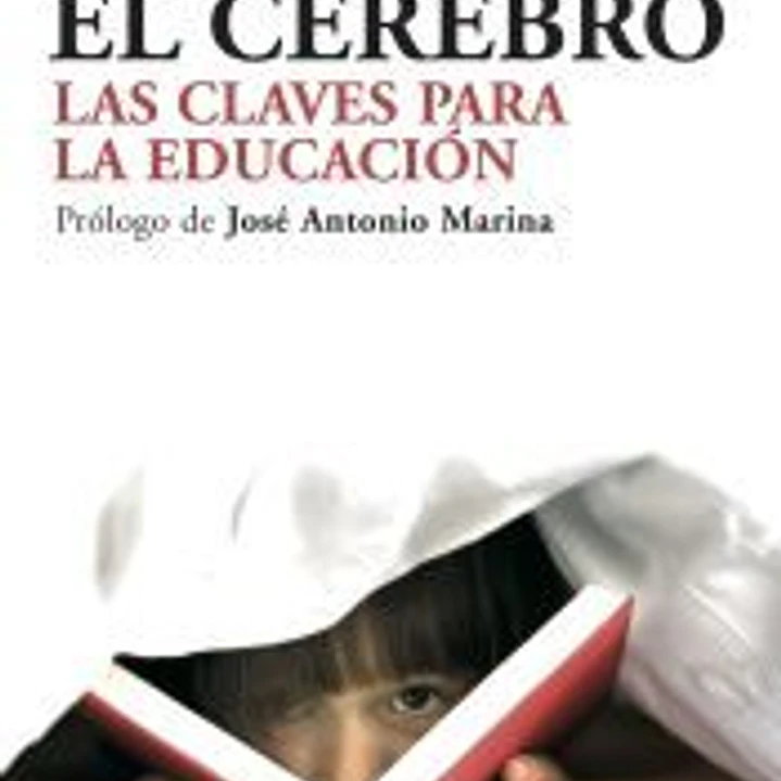 Cómo aprende el cerebro 1