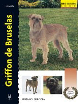 Griffon de Bruselas (Excellence-Raza Especial)