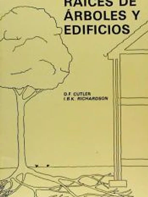 Raíces de árboles y edificios
