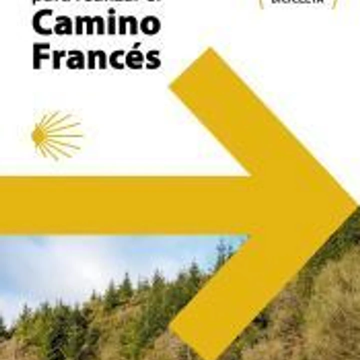 49 Mapas para realizar el Camino de Santiago. Camino Francés (desplegables) 1