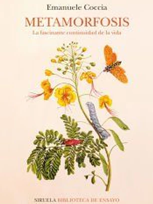 Metamorfosis