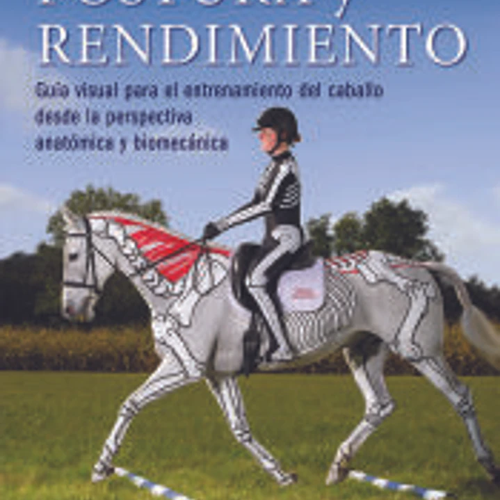 Postura y rendimiento 1