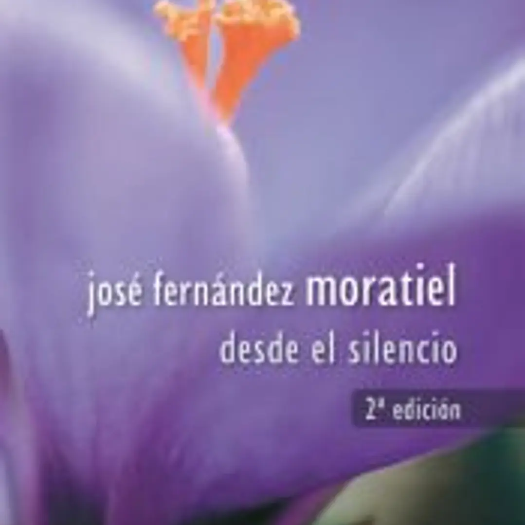 Desde el silencio 1