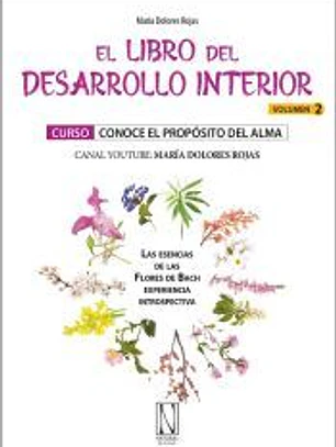 El libro del desarrollo interior (Vol.2)