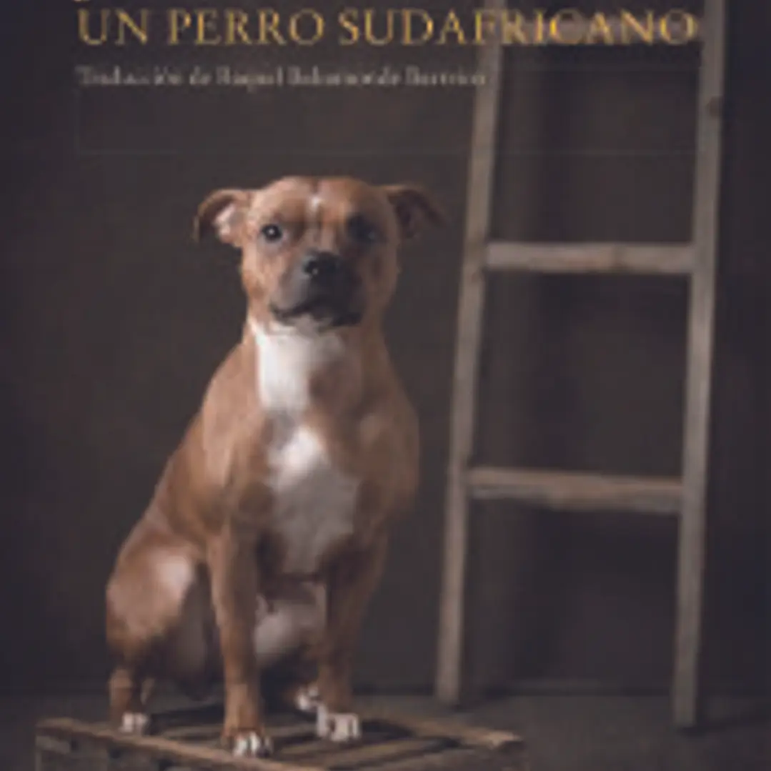 JOCK, UN PERRO SUDAFRICANO 1