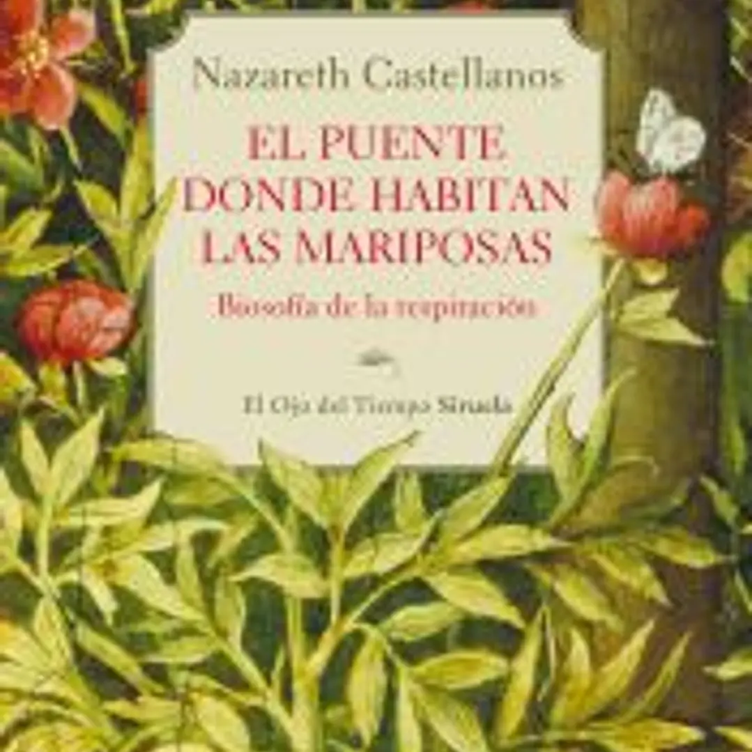 El puente donde habitan las mariposas 1