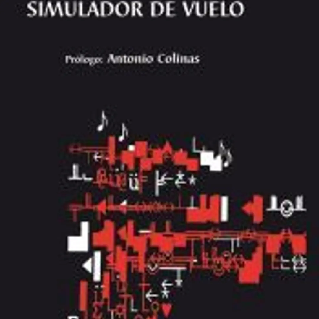SIMULADOR DE VUELO 1