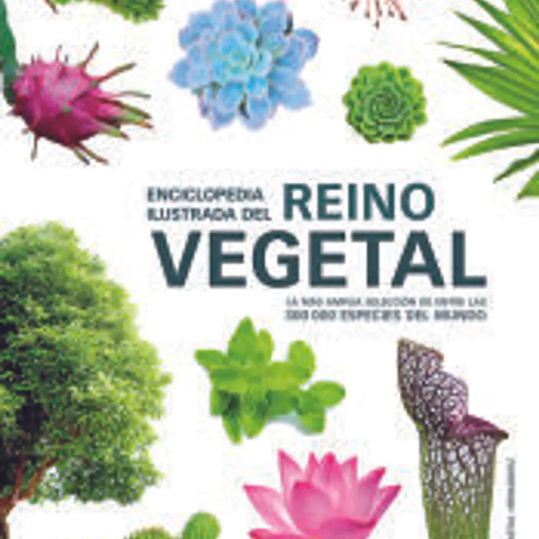 Enciclopedia Ilustrada del Reino Vegetal: La más Amplia Selección de entre las 300.000 Especies del Mundo 1