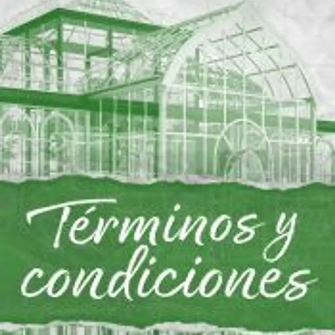 Términos y condiciones 1