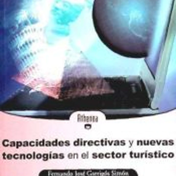 Capacidades directivas y nuevas tecnologías en el sector turístico 1