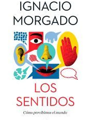 Los sentidos