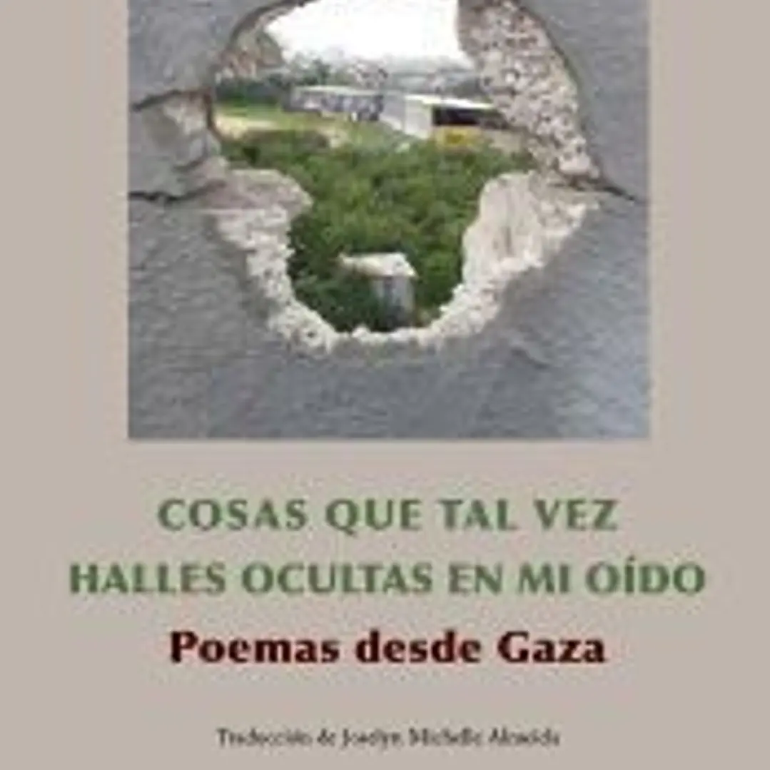 Las cosas que tal vez halles ocultas en mi oido: Poemas desde Gaza 1