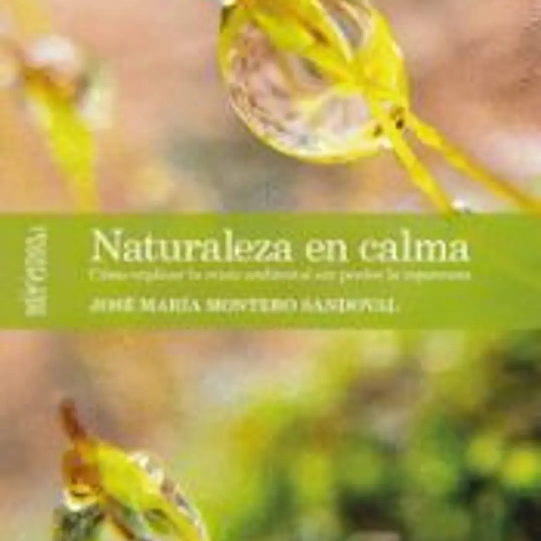 Naturaleza en la calma 1 1