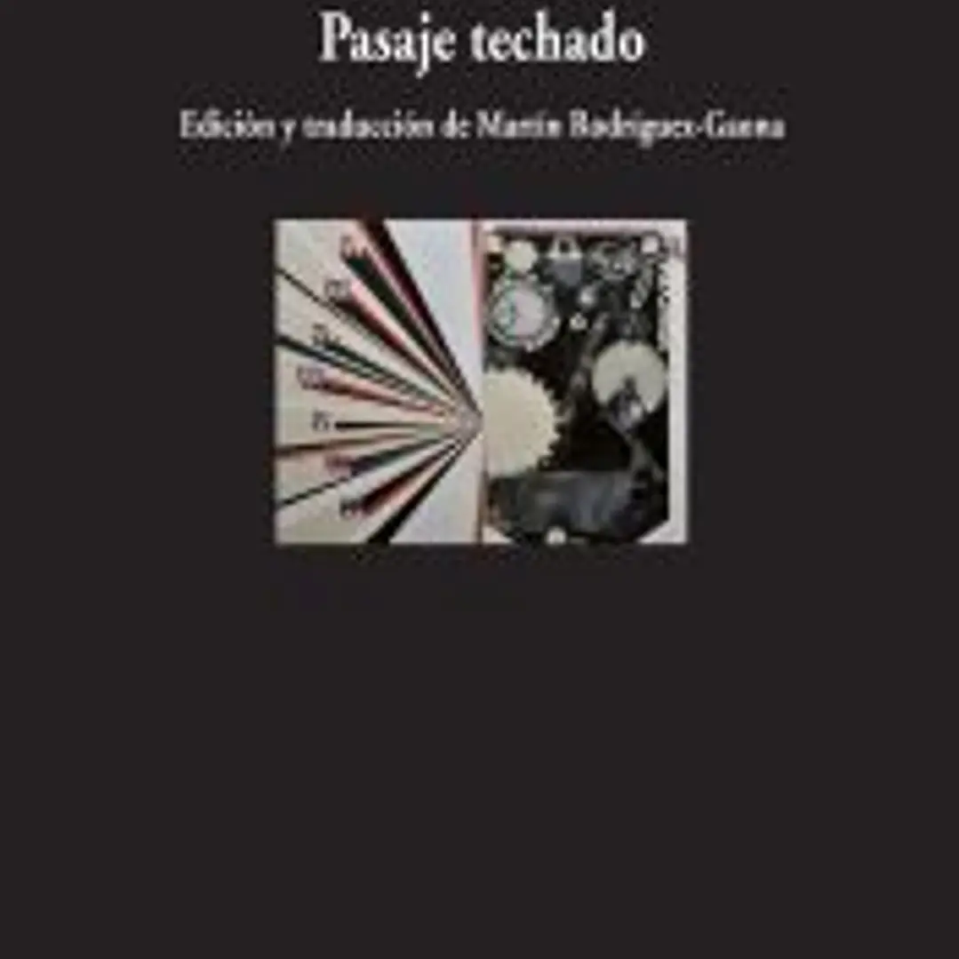 Pasaje Techado 1