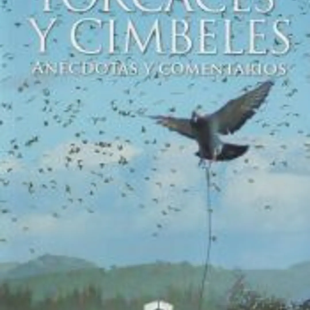 Torcaces y cimbeles.: Anécdotas y comentarios. 1