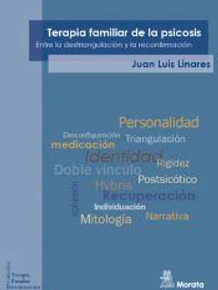 Terapia familiar de la psicosis. Entre la destriangulación y la reconfirmación