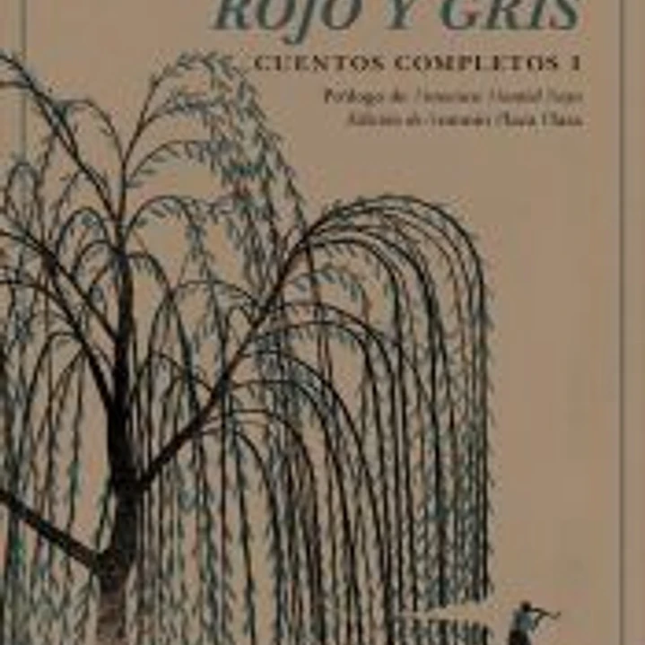 Rojo y gris 1