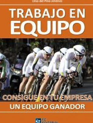 TRABAJO EN EQUIPO