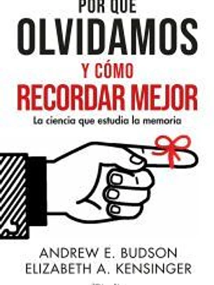 Por qué olvidamos y cómo recordar mejor