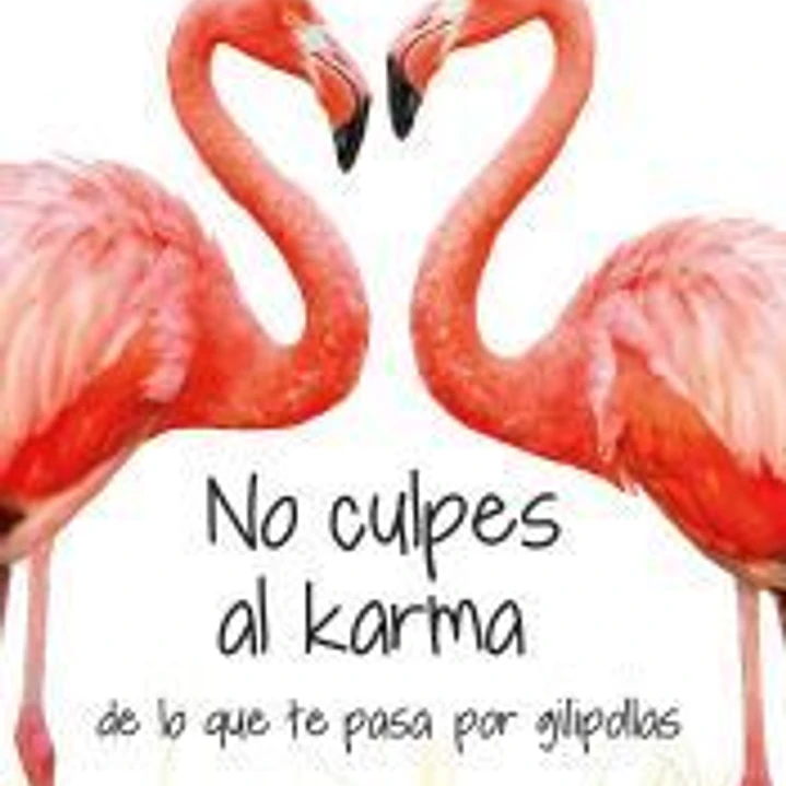 No culpes al karma de lo que te pasa por gilipollas 1