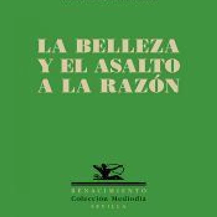 La belleza y el asalto a la razón 1
