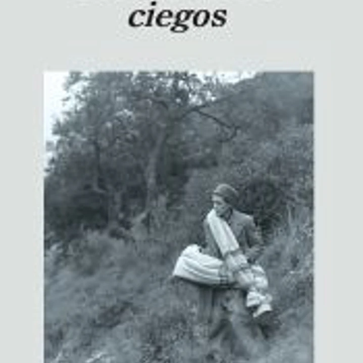 Los girasoles ciegos 1