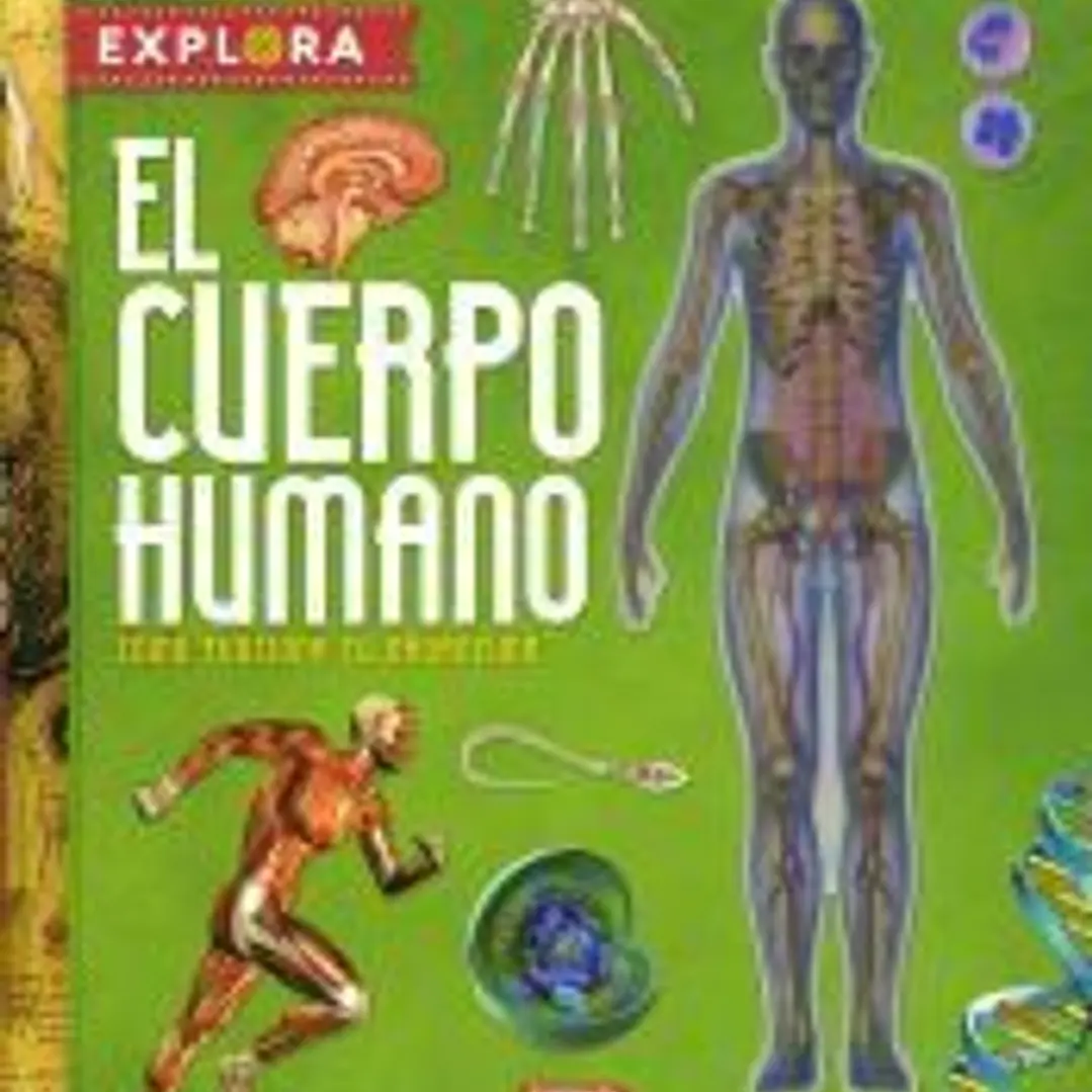 El cuerpo humano 1