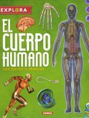 El cuerpo humano