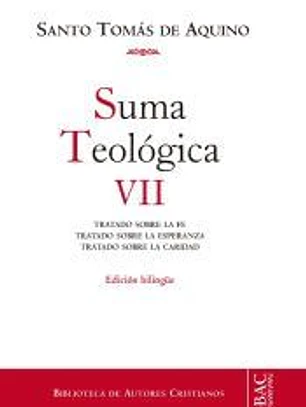 Suma Teológica VII