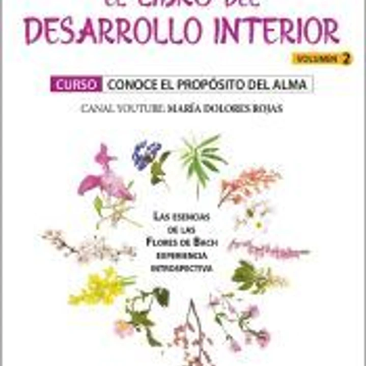 El libro del desarrollo interior (Vol.2) 1