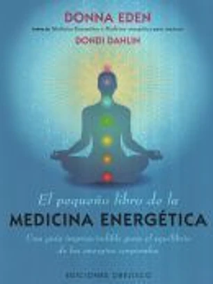 El pequeño libro de la medicina energética